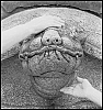 2005_92_03.jpg