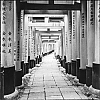 2013_108_03.jpg