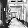 2013_108_05.jpg