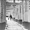 2013_108_07.jpg