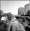 2013_155_11.jpg