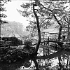 2013_67_12.jpg