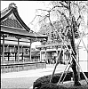 2013_81_01.jpg