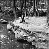 2013_85_01.jpg
