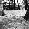2013_85_05.jpg