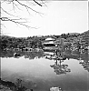 2013_95_02.jpg