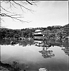 2013_95_02b.jpg