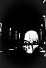 2015_83_08052.jpg