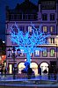 DSCF0131.jpg