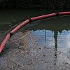 DSCF0151.jpg