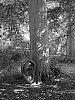 DSCF0308.jpg