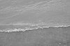 DSCF0310.jpg