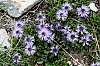 DSCF0357.jpg