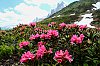 DSCF0604.jpg