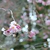 DSCF0616.jpg