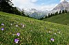 DSCF0665.jpg