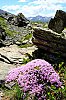 DSCF0698.jpg