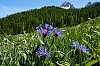 DSCF0834.jpg
