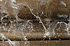 DSCF0858.jpg