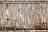 DSCF0867.jpg