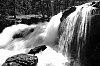 DSCF0880~1.jpg