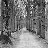 DSCF0896.jpg