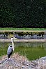 DSCF0935.jpg