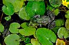 DSCF1049.jpg