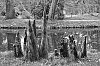 DSCF1065.jpg