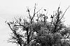 DSCF1066.jpg