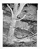DSCF1294.jpg