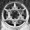 DSCF1327.jpg