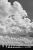 DSCF1523.jpg