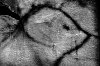 DSCF1555.jpg