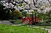 DSCF1748.jpg