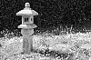 DSCF1784.jpg