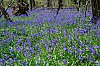 DSCF1795.jpg
