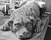 DSCF2259.jpg