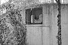 DSCF2596.jpg