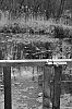 DSCF2707.jpg