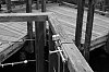 DSCF2708.jpg