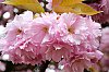 DSCF2874.jpg