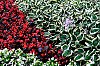 DSCF3861.jpg