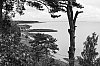 DSCF4342.jpg