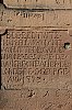 DSCF5949.jpg