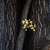 DSCF6054.jpg