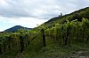 DSCF6074.jpg