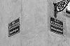 DSCF6181.jpg