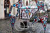 DSCF7855.jpg