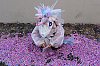 DSCF8258.jpg